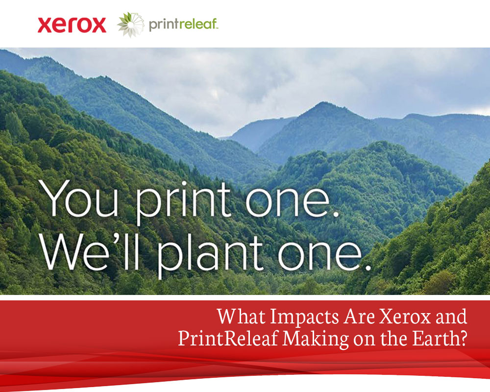 What-Impacts-Are-Xerox-and-PrintReleaf-Making-on-the-Earth